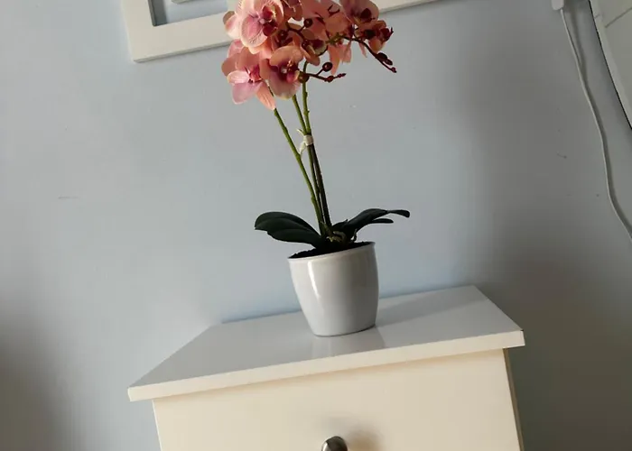 King Sunset 公寓 Paphos